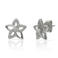 Pendientes Plata 925 Flor Circonitas 9.50mm