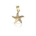 Colgante Oro 18K Estrella de Mar